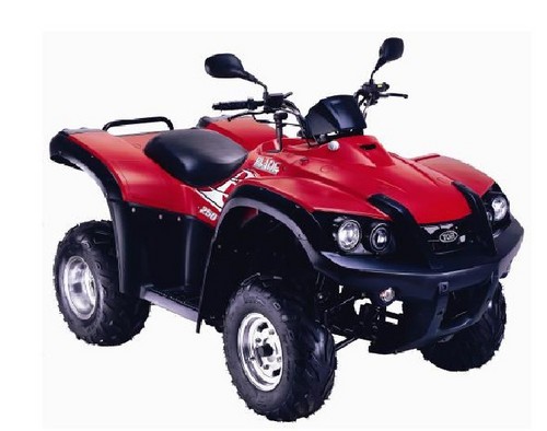 Product picture TGB BLADE 250 Service Repair Manual Download